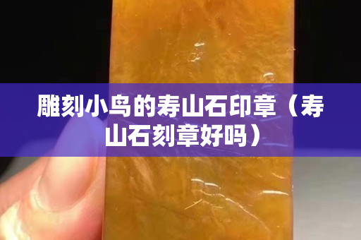 雕刻小鸟的寿山石印章（寿山石刻章好吗）