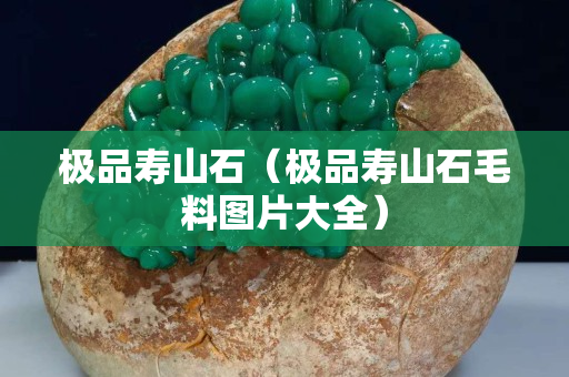 极品寿山石（极品寿山石毛料图片大全）