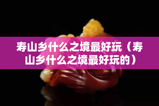 寿山乡什么之境最好玩（寿山乡什么之境最好玩的）