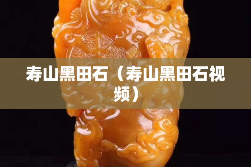 寿山黑田石（寿山黑田石视频）