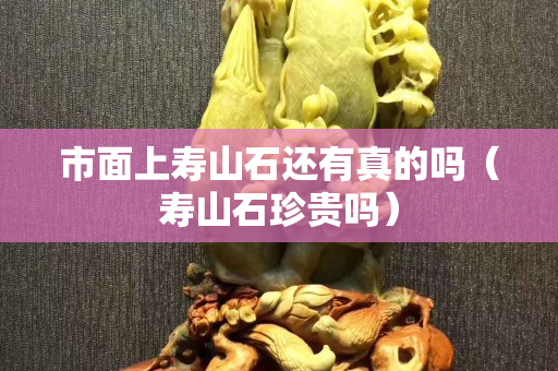 市面上寿山石还有真的吗（寿山石珍贵吗）