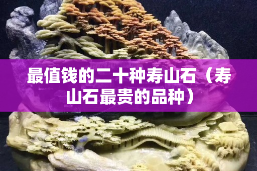 最值钱的二十种寿山石（寿山石最贵的品种）