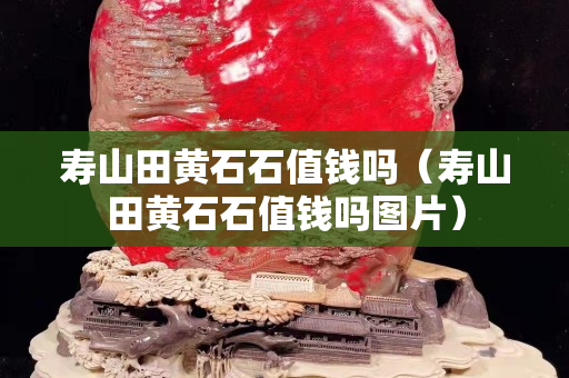 寿山田黄石石值钱吗（寿山田黄石石值钱吗图片）