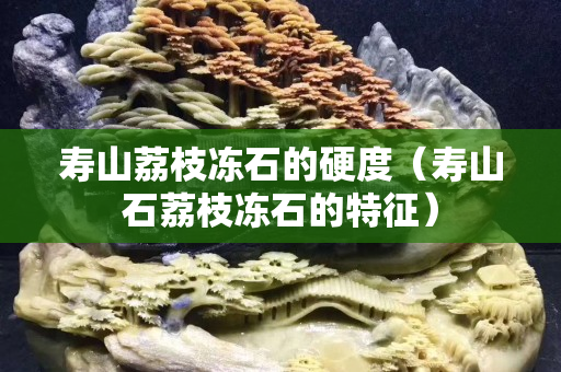 寿山荔枝冻石的硬度（寿山石荔枝冻石的特征）