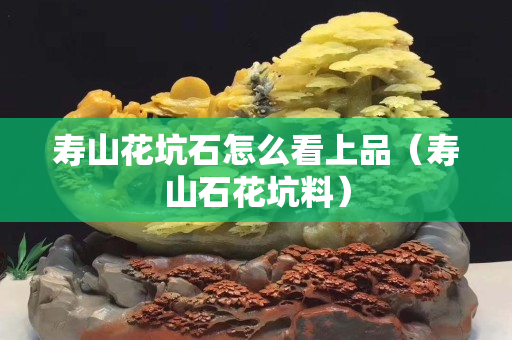 寿山花坑石怎么看上品（寿山石花坑料）
