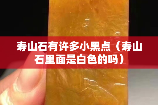 寿山石有许多小黑点（寿山石里面是白色的吗）