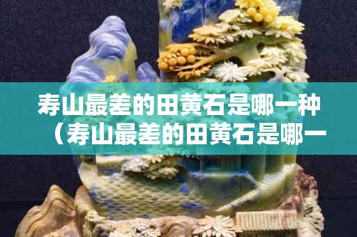 寿山最差的田黄石是哪一种（寿山最差的田黄石是哪一种玉石）
