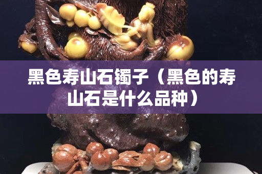 黑色寿山石镯子（黑色的寿山石是什么品种）