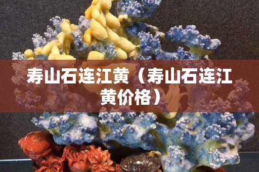 寿山石连江黄（寿山石连江黄价格）