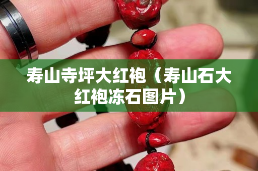 寿山寺坪大红袍（寿山石大红袍冻石图片）
