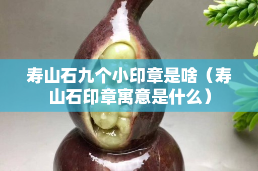 寿山石九个小印章是啥（寿山石印章寓意是什么）