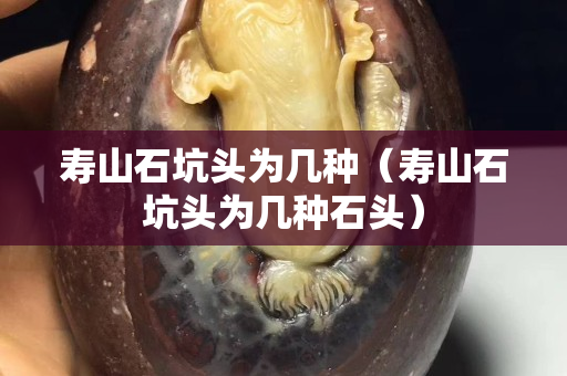 寿山石坑头为几种（寿山石坑头为几种石头）