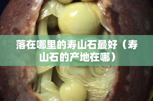 落在哪里的寿山石最好（寿山石的产地在哪）