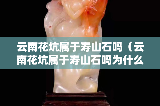 云南花坑属于寿山石吗（云南花坑属于寿山石吗为什么）