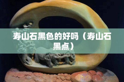 寿山石黑色的好吗（寿山石 黑点）