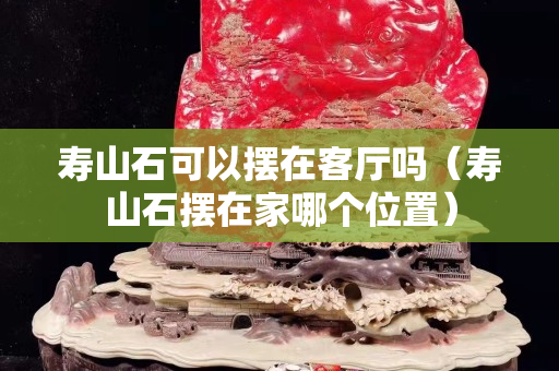 寿山石可以摆在客厅吗（寿山石摆在家哪个位置）