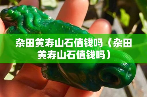杂田黄寿山石值钱吗（杂田黄寿山石值钱吗）