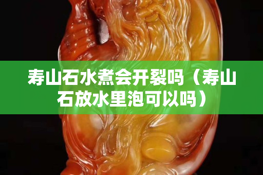 寿山石水煮会开裂吗（寿山石放水里泡可以吗）