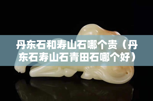 丹东石和寿山石哪个贵（丹东石寿山石青田石哪个好）