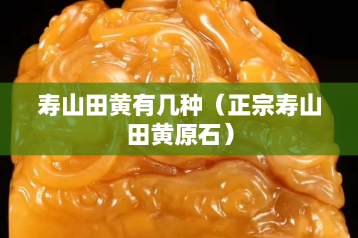 寿山田黄有几种（正宗寿山田黄原石）
