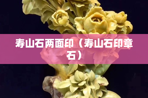 寿山石两面印（寿山石印章石）