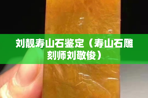 刘靓寿山石鉴定（寿山石雕刻师刘敬俊）