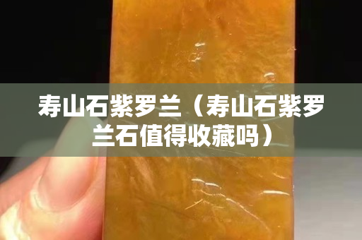寿山石紫罗兰（寿山石紫罗兰石值得收藏吗）