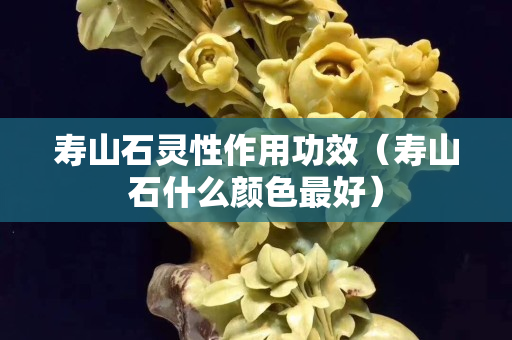 寿山石灵性作用功效（寿山石什么颜色最好）