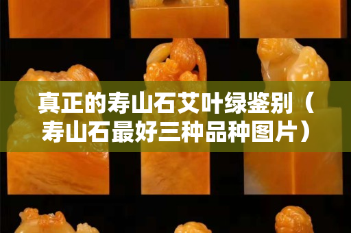 真正的寿山石艾叶绿鉴别（寿山石最好三种品种图片）