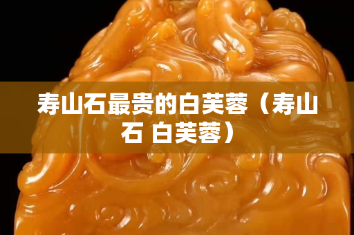 寿山石最贵的白芙蓉（寿山石 白芙蓉）