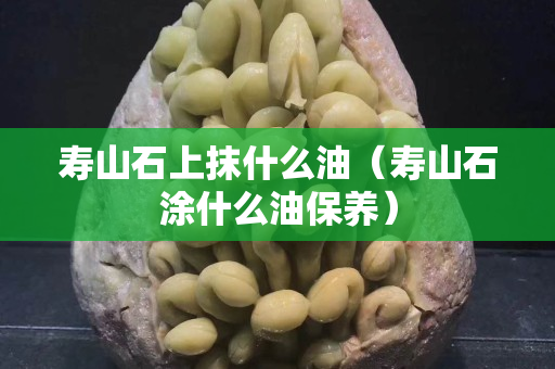 寿山石上抹什么油（寿山石涂什么油保养）