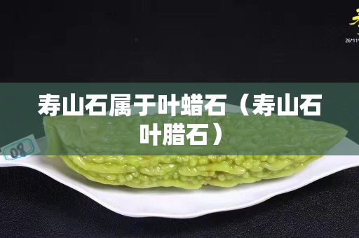 寿山石属于叶蜡石（寿山石叶腊石）