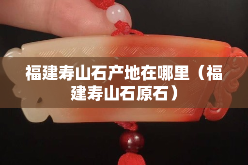 福建寿山石产地在哪里（福建寿山石原石）