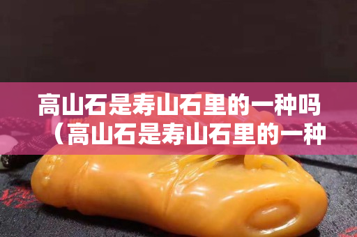 高山石是寿山石里的一种吗（高山石是寿山石里的一种吗为什么）