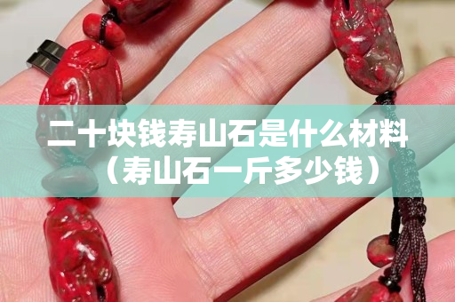 二十块钱寿山石是什么材料（寿山石一斤多少钱）