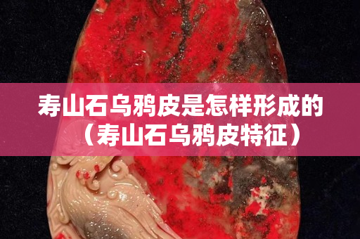 寿山石乌鸦皮是怎样形成的（寿山石乌鸦皮特征）