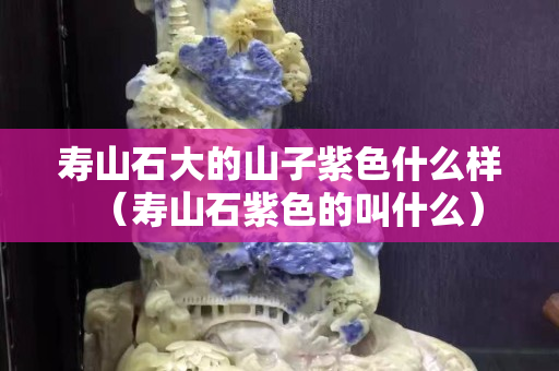 寿山石大的山子紫色什么样（寿山石紫色的叫什么）
