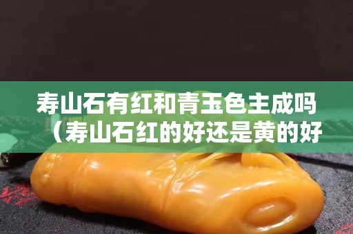 寿山石有红和青玉色主成吗（寿山石红的好还是黄的好）