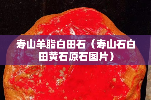 寿山羊脂白田石（寿山石白田黄石原石图片）