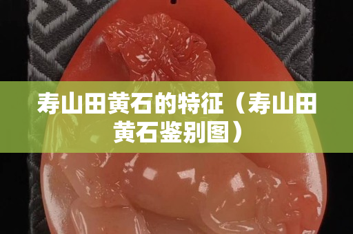 寿山田黄石的特征（寿山田黄石鉴别图）