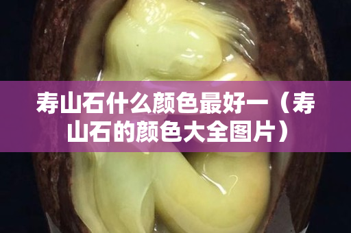 寿山石什么颜色最好一（寿山石的颜色大全图片）
