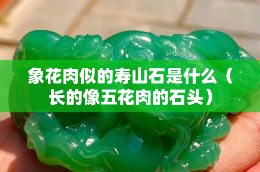 象花肉似的寿山石是什么（长的像五花肉的石头）