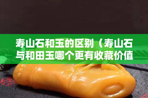 寿山石和玉的区别（寿山石与和田玉哪个更有收藏价值）