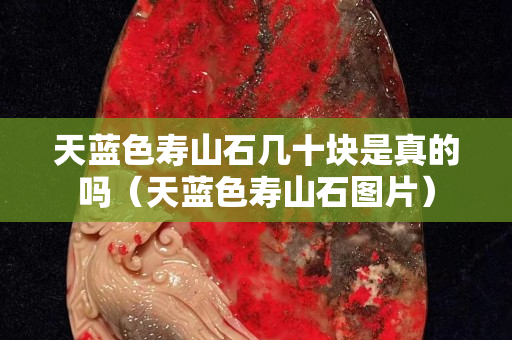天蓝色寿山石几十块是真的吗（天蓝色寿山石图片）