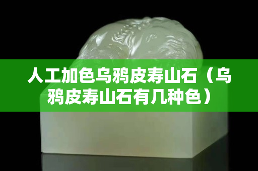 人工加色乌鸦皮寿山石（乌鸦皮寿山石有几种色）
