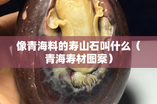 像青海料的寿山石叫什么（青海寿材图案）
