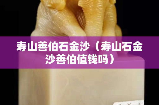 寿山善伯石金沙（寿山石金沙善伯值钱吗）