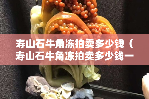 寿山石牛角冻拍卖多少钱（寿山石牛角冻拍卖多少钱一克）