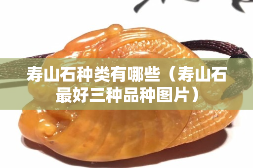 寿山石种类有哪些（寿山石最好三种品种图片）