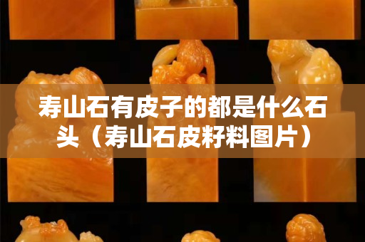 寿山石有皮子的都是什么石头（寿山石皮籽料图片）